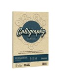 Carta Calligraphy Pergamena 190gr A4 250fg crema 05 Favini A692254