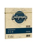 25 buste Calligraphy Pergamena 170x170mm 90gr crema 05 Favini A572078