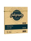 25 buste Calligraphy Pergamena 170x170mm 90gr oro 03 Favini A57W078