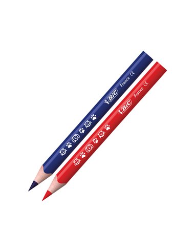 Astuccio 12 matite Evolution Triangle colori assortite BIC 82973511 BIC KIDS PASTELLI COLORATI