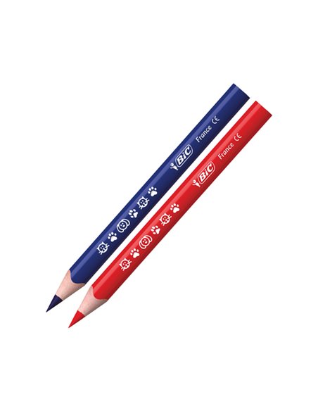 Astuccio 12 matite Evolution Triangle colori assortite BIC 82973511 BIC KIDS PASTELLI COLORATI