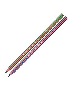 Astuccio 24 matite Evolution Stripes colori assortite BIC 9505251 2