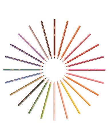 Astuccio 24 matite Evolution Stripes colori assortite BIC 9505251