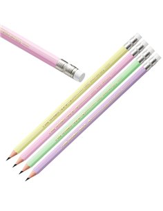 Scatola12 matite c/gommino Evolution Pastel BIC 518306 BIC MATITE GRAFITE 2