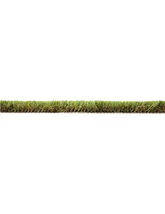Prato verde sintetico Verdecor Gold H35mm 2x20mt (40mq) Verdemax 3424 Verdemax ATTREZZI E ACCESSORI 2