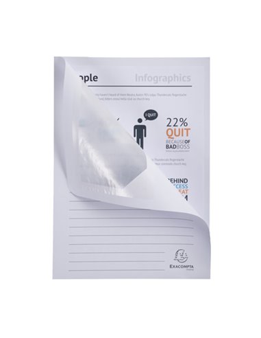 Conf.10 cartelle con finestra Forever 22X31cm Colori assortiti 50200E Exacompt 50200E EXACOMPTA CARTELLINE SEMPLICI
