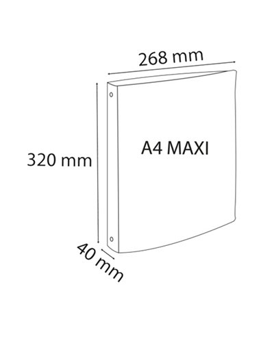 Raccoglitore Pp rigato Crystal Colours 4anelli 30mm A4 maxi 5 col.assExacompta 51298E EXACOMPTA RACCOGLITORI AD ANELLI