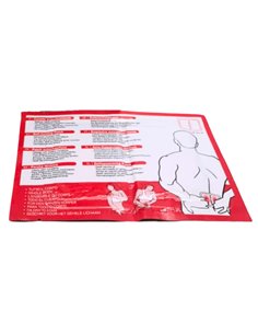 Scatola 2 cerotti riscaldanti 10x13cm Megaplast MEG006 PVS MEDICAMENTI 2