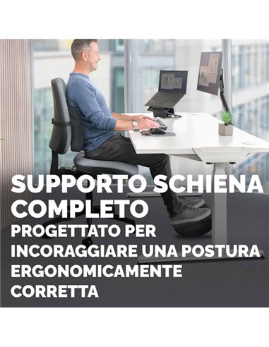 Cuscino Lombare Breyta Confort Fellowes 100119852 FELLOWES SUPPORTI LOMBARI