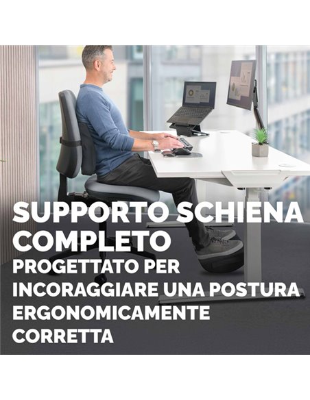 Cuscino Lombare Breyta Confort Fellowes 100119852 FELLOWES SUPPORTI LOMBARI