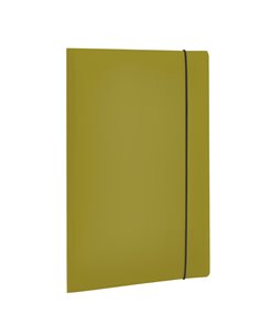 Cartella 3 Lembi HOLOS in PP verde 25x35cm Fellowes 100102105 FELLOWES CARTELLINE IN PLASTICA CON ELASTICO
