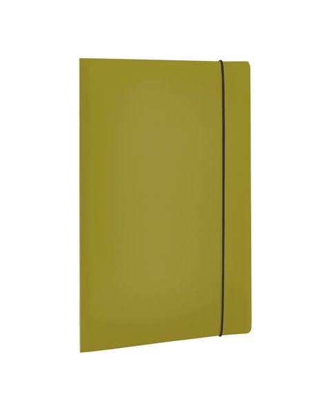 Cartella 3 Lembi HOLOS in PP verde 25x35cm Fellowes 100102105 FELLOWES CARTELLINE IN PLASTICA CON ELASTICO