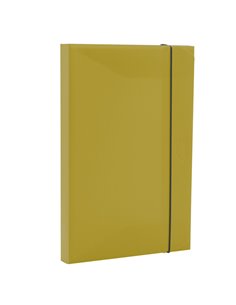 Cartella progetto HOLOS dorso 3cm in PP verde 34,5x23,5x3cm Fellowes 100102106 FELLOWES SCATOLE PROGETTO CON ELASTICO