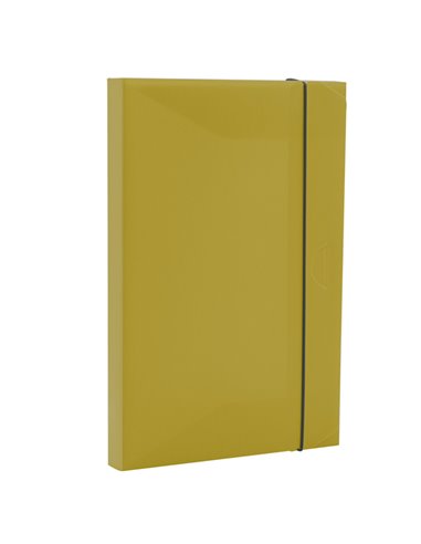 Cartella progetto HOLOS dorso 3cm in PP verde 34,5x23,5x3cm Fellowes 100102106 FELLOWES SCATOLE PROGETTO CON ELASTICO