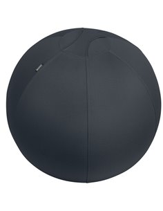 Palla Ergo Active da Seduta Anti Rotolamento 65cm grigio scuro Leitz 65420089