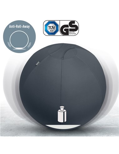 Palla Ergo Active da Seduta Anti Rotolamento 65cm grigio scuro Leitz 65420089