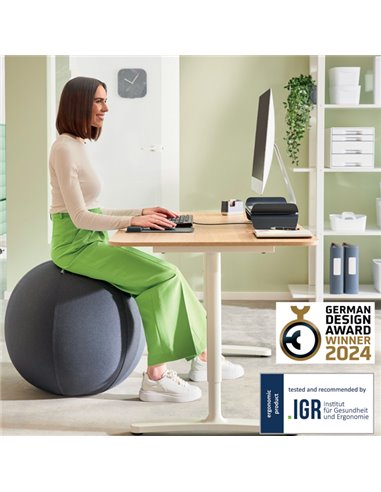 Palla Ergo Active da Seduta Anti Rotolamento 65cm grigio scuro Leitz 65420089