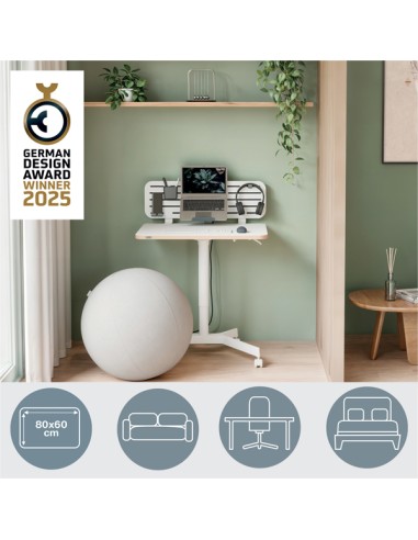 Scrivania Compatta pneumatica Sit-Stand mobile 80x60x75-114cm Leitz 65360001 LEITZ SIT STAND