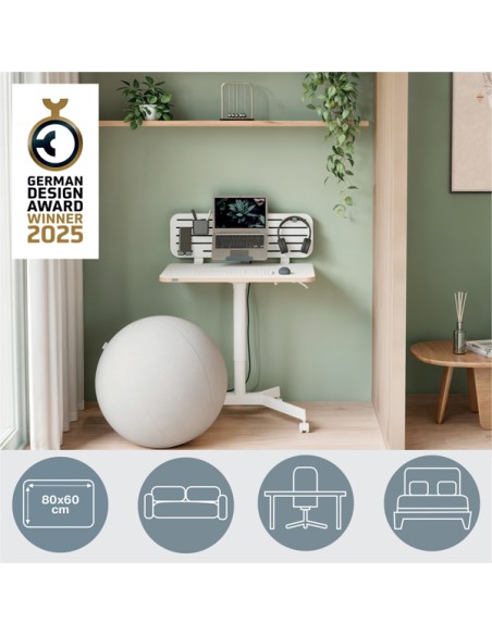 Scrivania Compatta pneumatica Sit-Stand mobile 80x60x75-114cm Leitz 65360001 LEITZ SIT STAND