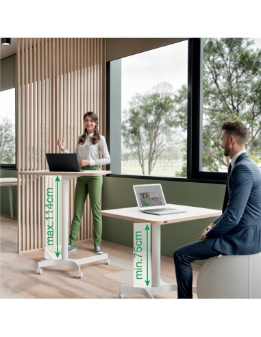 Scrivania Compatta pneumatica Sit-Stand mobile 80x60x75-114cm Leitz 65360001 LEITZ SIT STAND