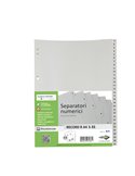 SEPARATORE NUMERICO 1-31 PPL 21X29,7 RECORD RA4 1-31 SEI 581301