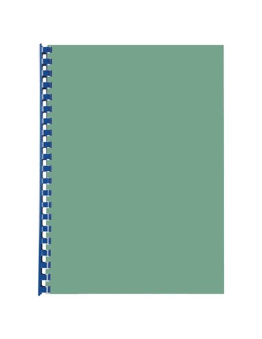 SCATOLA 100 DORSI SPIRALE 6MM ROSSO 21 ANELLI 4028213