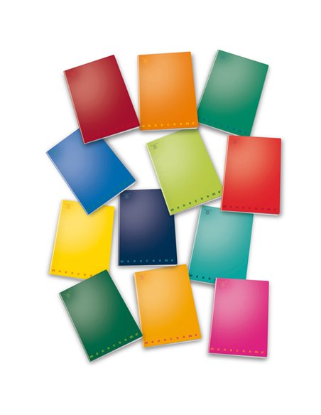 MAXIQUADERNO A4 40fg+2 80gr 2colonne MONOCROMO PIGNA 02298872C