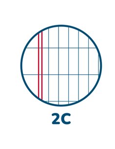 MAXIQUADERNO A4 40fg+2 80gr 2colonne MONOCROMO PIGNA 02298872C 2