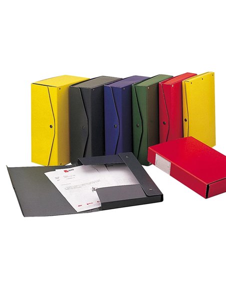 Scatola archivio PROJECT 6 verde 25x35cm dorso 6cm Esselte 00023414 ESSELTE SCATOLE ARCHIVIO CON BOTTONE
