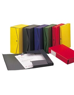 Scatola archivio PROJECT 10 blu 25x35cm dorso 10cm Esselte 00023904