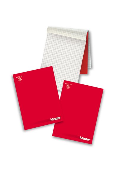BLOCCO MASTER 210X297MM bianco 90FG 80GR PIGNA 0208521BI