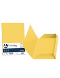25 cartelline 3 lembi LUCE 200gr 24,5x34,5cm giallo sole FAVINI A50B434