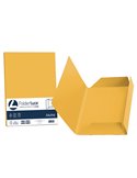 25 cartelline 3 lembi LUCE 200gr 24,5x34,5cm giallo oro FAVINI A50H434