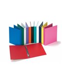 Raccoglitore Europa 4010 22x30mm 4R dorso 30 col. assortiti Favorit 100460431