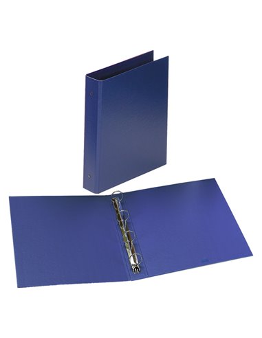 RACCOGLITORE EUROPA FAVORIT 4050 22X30 4R DORSO 50 BLU 100460446