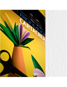 Blister 10fg cartoncino 35x50cm 220gr bianco Cartacrea Fabriano 46435100