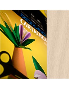 Blister 10fg cartoncino 35x50cm 220gr panna Cartacrea Fabriano 46435101 FABRIANO CARTONCINO COLORATO
