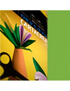 Blister 10fg cartoncino 35x50cm 220gr verde Cartacrea Fabriano 46435111 FABRIANO CARTONCINO COLORATO