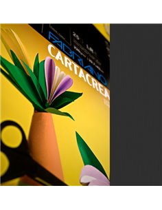 Blister 10fg cartoncino 35x50cm 220gr nero Cartacrea Fabriano 46435115 FABRIANO CARTONCINO COLORATO