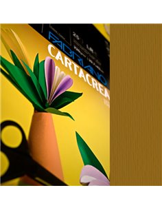 Blister 10fg cartoncino 35x50cm 220gr marrone Cartacrea Fabriano 46435106 FABRIANO CARTONCINO COLORATO