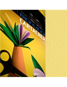 Blister 10fg cartoncino 35x50cm 220gr onice Cartacrea Fabriano 46435117