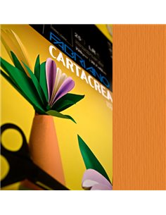 Blister 10fg cartoncino 35x50cm 220gr arancio Cartacrea Fabriano 46435108 FABRIANO CARTONCINO COLORATO