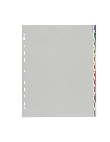 SEPARATORE 22X30 12 TASTI PPL NEUTRO SEPAREX FAVORIT 153/12 400006688 FAVORIT DIVISORI-SEPARATORI CON TASTI NEUTRI