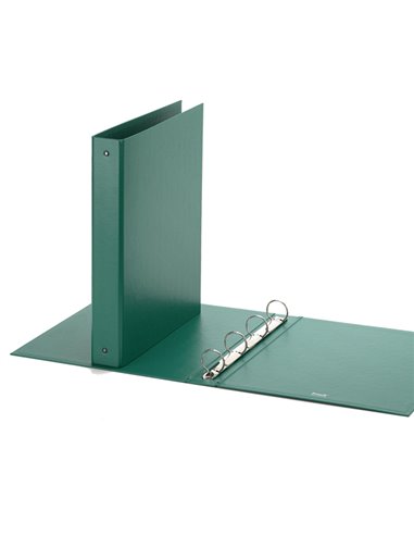 Raccoglitore Europa 4010 22x30mm 4R dorso 30 verde Favorit 400051150