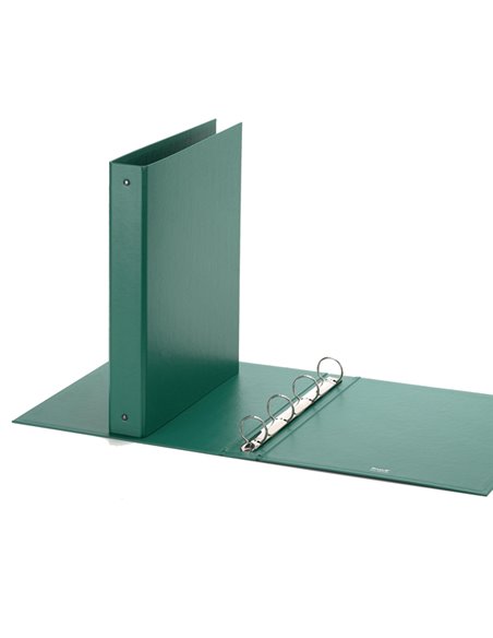 Raccoglitore Europa 4010 22x30mm 4R dorso 30 verde Favorit 400051150