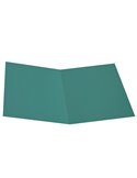 100 CARTELLINE SEMPLICI VERDE S/STAMPA 145GR CG0113MFXXXAK03
