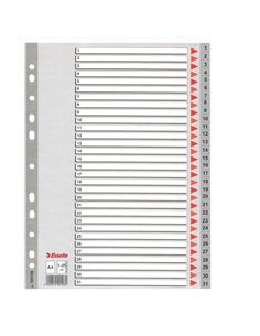 Separatore in PPL grigio numerico 1-31 f.to A4 ESSELTE 100108