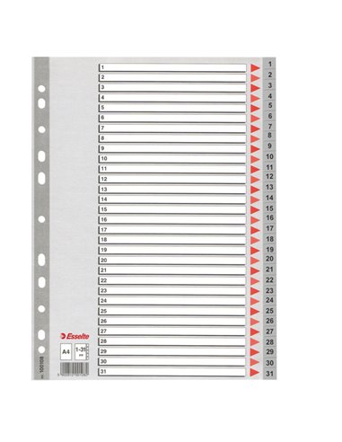 Separatore in PPL grigio numerico 1-31 f.to A4 ESSELTE 100108