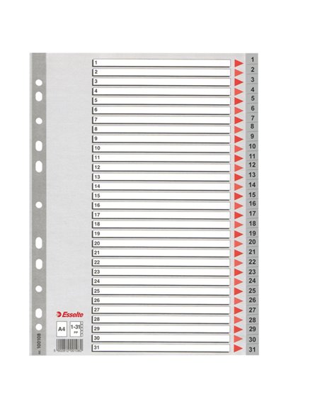 Separatore in PPL grigio numerico 1-31 f.to A4 ESSELTE 100108