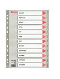 Separatore in PPL grigio mensile GEN-DIC f.to A4 ESSELTE 100114